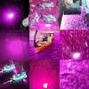SAMDO Underwater Fishing Light Fish Attracting Light IP68 12V 180 SMD LED 1080 Lumens Drop Fish Boat Night Light 10.8W (Purple) view 3