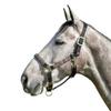 Kensington Premium Halter with Padded Nose Stronger Than Leather Padded Nose Piece Adds Comfort and Control Throat Snap for Identical Fit - Large, Black w/Deluxe Black view 1
