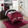Northwest NFL Arizona Cardinals Comforter and Sham Set, Twin, Safety view 3