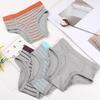 Buyless Fashion Boys Brief in Assorted Colors Soft Cotton Underwear 4 Pack - BC14-BAC-1-2 view 4