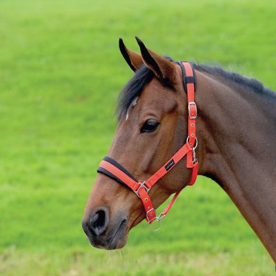 Cottage Craft Padded Headcollar (Small Pony) (Red)