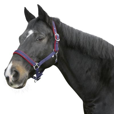 Kerbl Dexter with Fleece Padding Size 00 Holster One Size, Unisex, Halfter Dexter mit Fleeceunterlage, Blau, Gre 00, Blue