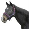 Kerbl Dexter with Fleece Padding Size 00 Holster  One Size, Unisex, Halfter Dexter mit Fleeceunterlage, Blau, Gre 00, Blue view 1