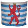 3x5 Luxembourg Germany German City Lion Royal Rough Tex Knitted Flag 3'x5' view 1