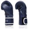 Fairtex BGV14 Muay Thai Boxing Microfibre Gloves for Men, Women, Kids | MMA Gloves, Kickboxing, Gym, Workout | Premium Quality, Light Weight & Shock Absorbent Boxing Gloves- (Blue/14oz) view 4