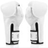 Fairtex BGV14 Muay Thai Boxing Microfibre Gloves for Men, Women, Kids | MMA Gloves, Kickboxing, Gym, Workout | Premium Quality, Light Weight & Shock Absorbent Boxing Gloves- (White/8oz) view 2