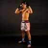 Blue Dragon Muay Thai Shorts in White by TUFF Sport view 2