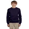 Hanes Boys Youth ComfortBlend EcoSmart Crewneck Sweatshirt(P360)-Navy-S view 1