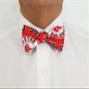 EmilyRose Couture Men's Sports Theme Bow Ties-cowboys, Lions, Gators, Hurricanes, Michigan, Bulls (6-12 Year Olds, Red Sox) view 4