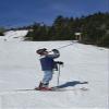 Swigmeister Flask Ski Poles (52) view 3