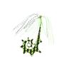 Hayabusa SE135#19 Musou Sea Bream Free Slide, Dragon Curly, Rubber Set, Impact Glow view 1