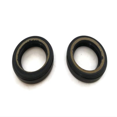 ITACO Boat Motor 2 x Oil Seal Seals S-Type 93101-20048 93102-20484 F15-06020003 20 x 30 x 6 mm for Yamaha Parsun Hidea Powertec Outboard F 8HP - 40HP 2/4-stroke Engine