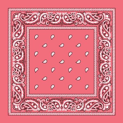 Pink Paisley Bandana - Single Piece 22x22