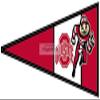 9 INCH Red Pennant Flag OSU Ohio State University Buckeyes Removable Wall Decal Sticker Art NCAA Home Decor 9 inches Wide by 4 inches Tall view 1