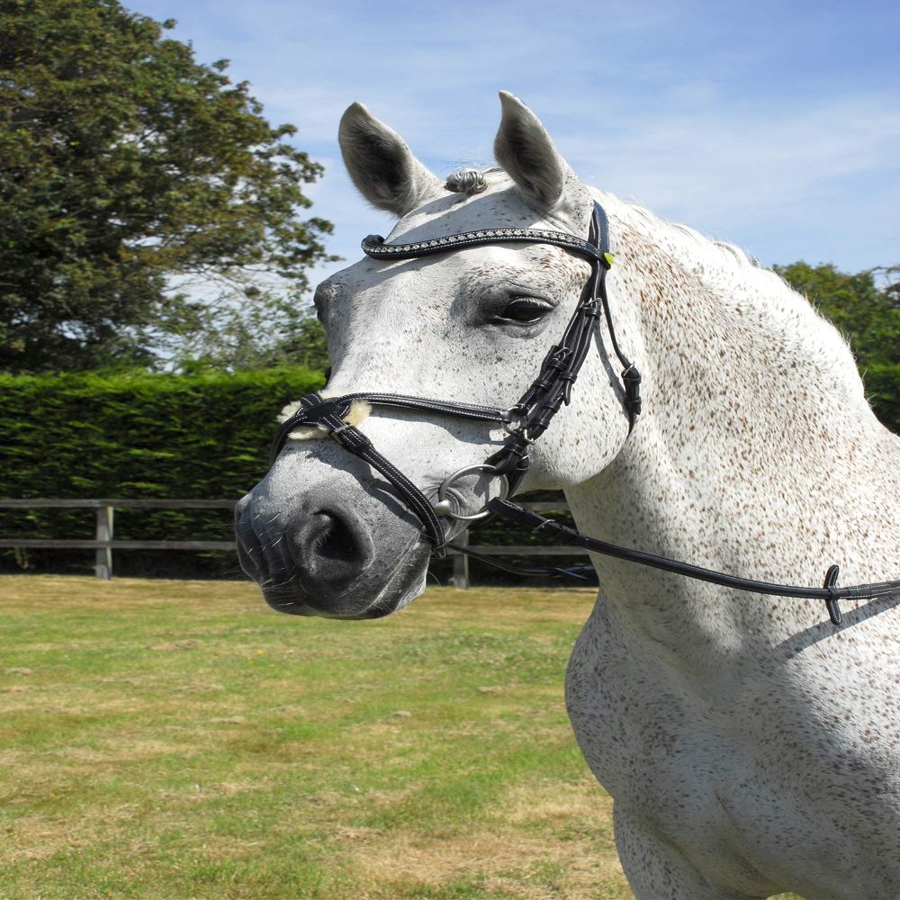 Rhinegold Anatomic Mexican Bridle - Full - Black