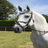 Rhinegold Anatomic Mexican Bridle - Full - Black view 1