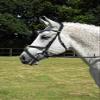 Rhinegold Anatomic Mexican Bridle - Full - Black view 2