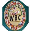 WBC Championship Boxing Belt Replica Belts Adult Size view 1