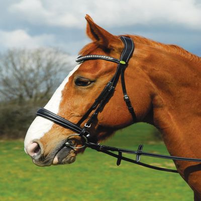 Rhinegold Anatomic Cavesson Bridle - Extra Full - Black