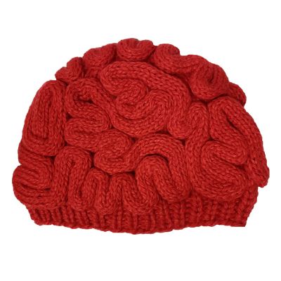 BIBITIME Unisex Handmade Knitted Brain Beanie Cap Halloween Hat (Made to fit Average Adult, Red)