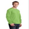 Port & Company - Long Sleeve Core Cotton Tee 3XL Lime view 4