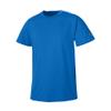 Champion Men`s Basic Tee Royal Blue view 1