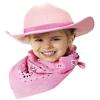 Aeromax Junior Cowboy Hat with Bandanna 6 piece party pack, Pink Sparkle. view 2