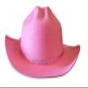 Aeromax Junior Cowboy Hat with Bandanna 6 piece party pack, Pink Sparkle. view 3