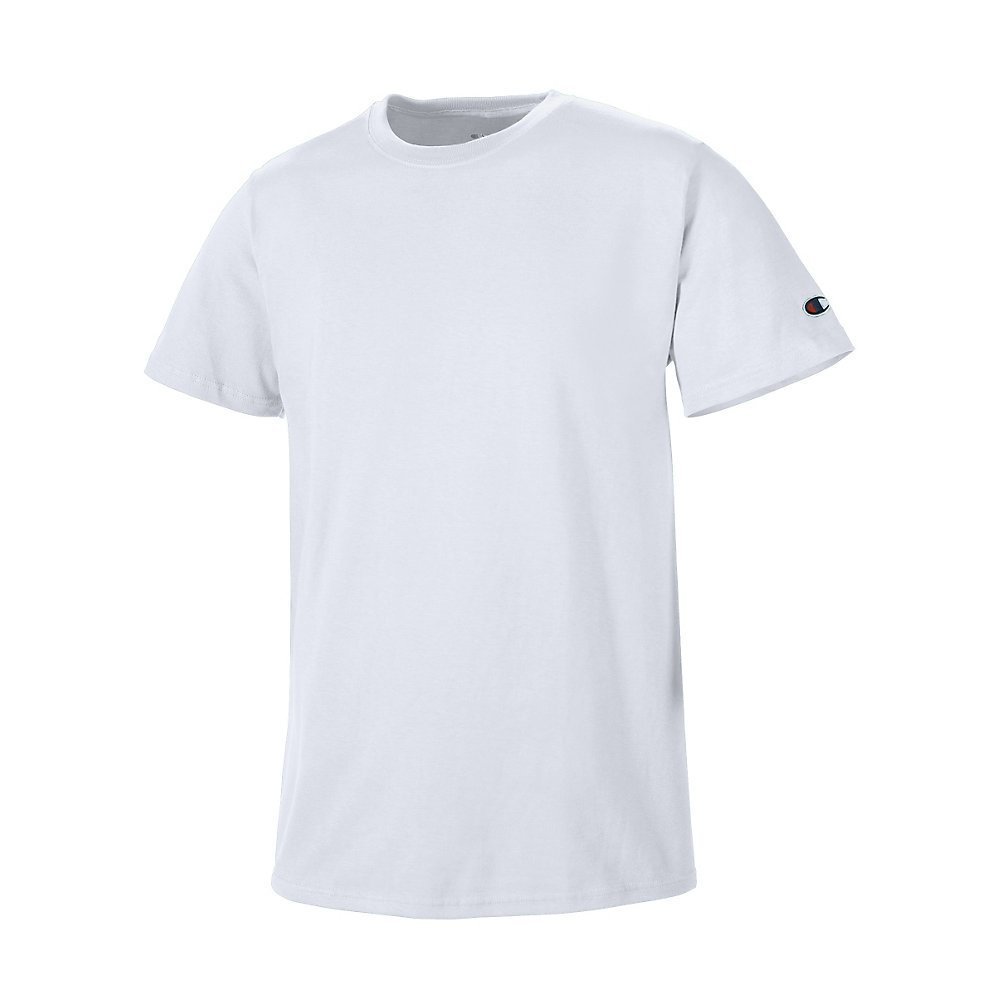 Champion Men's Basic Short Sleeve Tee Shirt_Ash_2XL