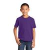 PORT AND COMPANY Fan Favorite Tee (PC450Y) Team Purple, XL view 1