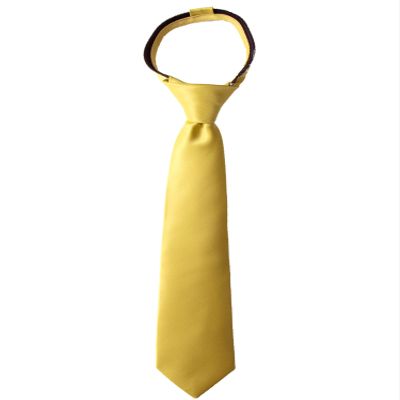 Spring Notion Boys' Pre-tied Satin Zipper Necktie - Adjustable Ties for Kids, X-Large with gift box, Gold