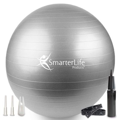 SmarterLife Exercise Ball Yoga Ball for Fitness, Balance, Stability, or Pregnancy, Gym Ball for Core Workout, Physical Therapy, Yoga Ball Chair for Office, Anti-Slip Anti-Burst (65 cm, Silver)