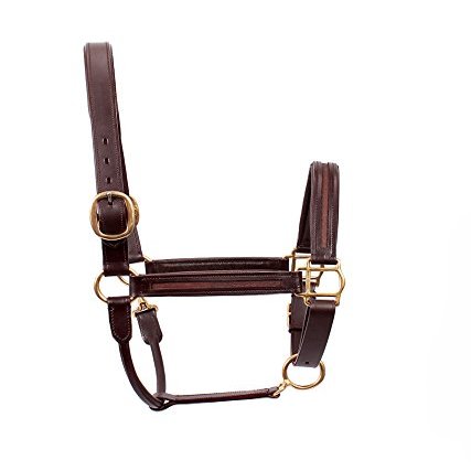 SIE EQUESTRIAN Empty Channel Padded Leather Halters Design w Your own Crystals Colors (Havana, Oversize)
