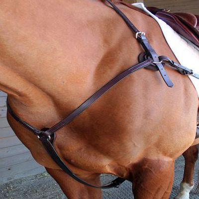 Nunn Finer 3-Way Breastplate with Elastic - Havana & Zinc
