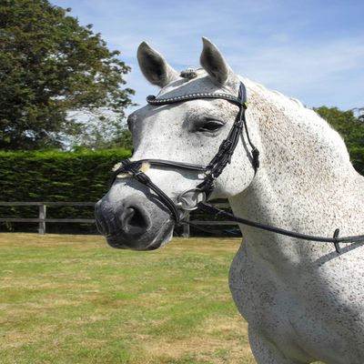 Rhinegold Anatomic Mexican Bridle - Extra Full - Black