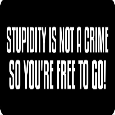 1080 Graphics 3 - Stupidity is Not A Crime Hard Hat/Biker Helmet Sticker BS 1059