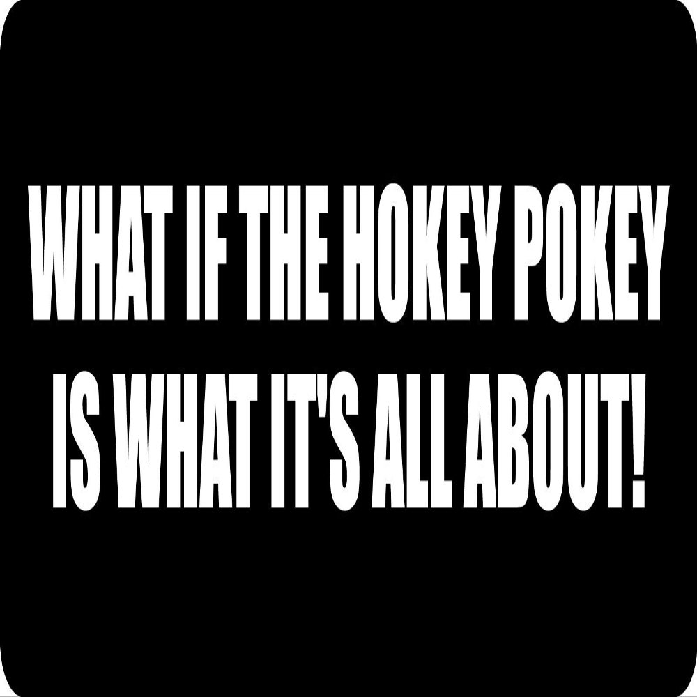 1080 Graphics 3 - What If The Hokey Pokey Hard Hat/Biker Helmet Sticker BS 938