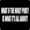1080 Graphics 3 - What If The Hokey Pokey Hard Hat/Biker Helmet Sticker BS 938 view 1