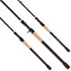 Big Sexy Favorite Casting Rod view 1