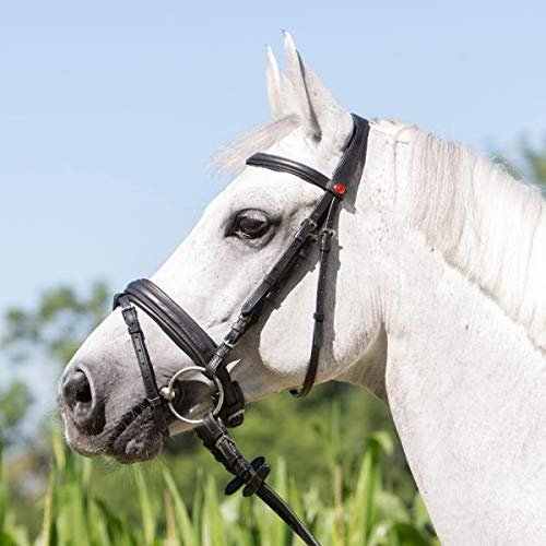 Kieffer Ultrasoft Flash Bridle - Black, Full