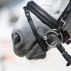 Kieffer Ultrasoft Flash Bridle - Black, Full view 2