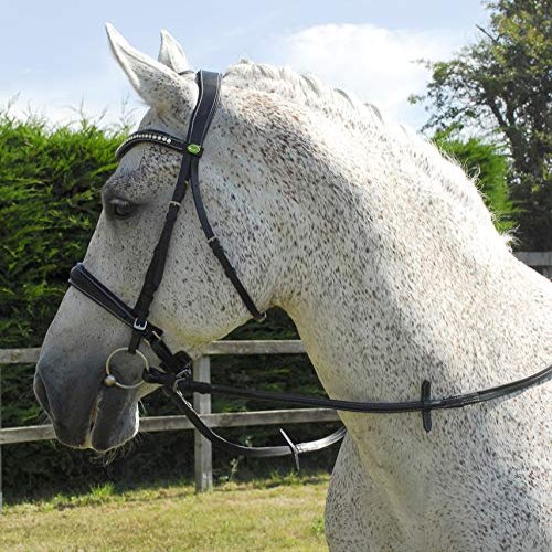 Rhinegold Anatomic Cavesson Bridle - Full - Black