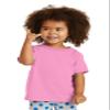 Port & Company Toddler Core Cotton Tee. CAR54T 3T Royal view 4