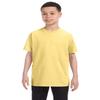Hanes Authentic TAGLESS Kids' Cotton T-Shirt_Daffodil Yellow_M view 1