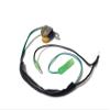 Boat Motor Pulser Pusler Coil Assy 6L5-85592-M0 For Yamaha Outboard 3 Malta 3HP 2 stroke Engine view 2