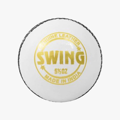DSC Men's 8904223209009 1500498 Swing Leather Cricket Ball (White), Pack of 1