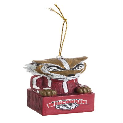 Evergreen Enterprises NCAA Wisconsin Badgers Tiki Design, Team Colors, One Size