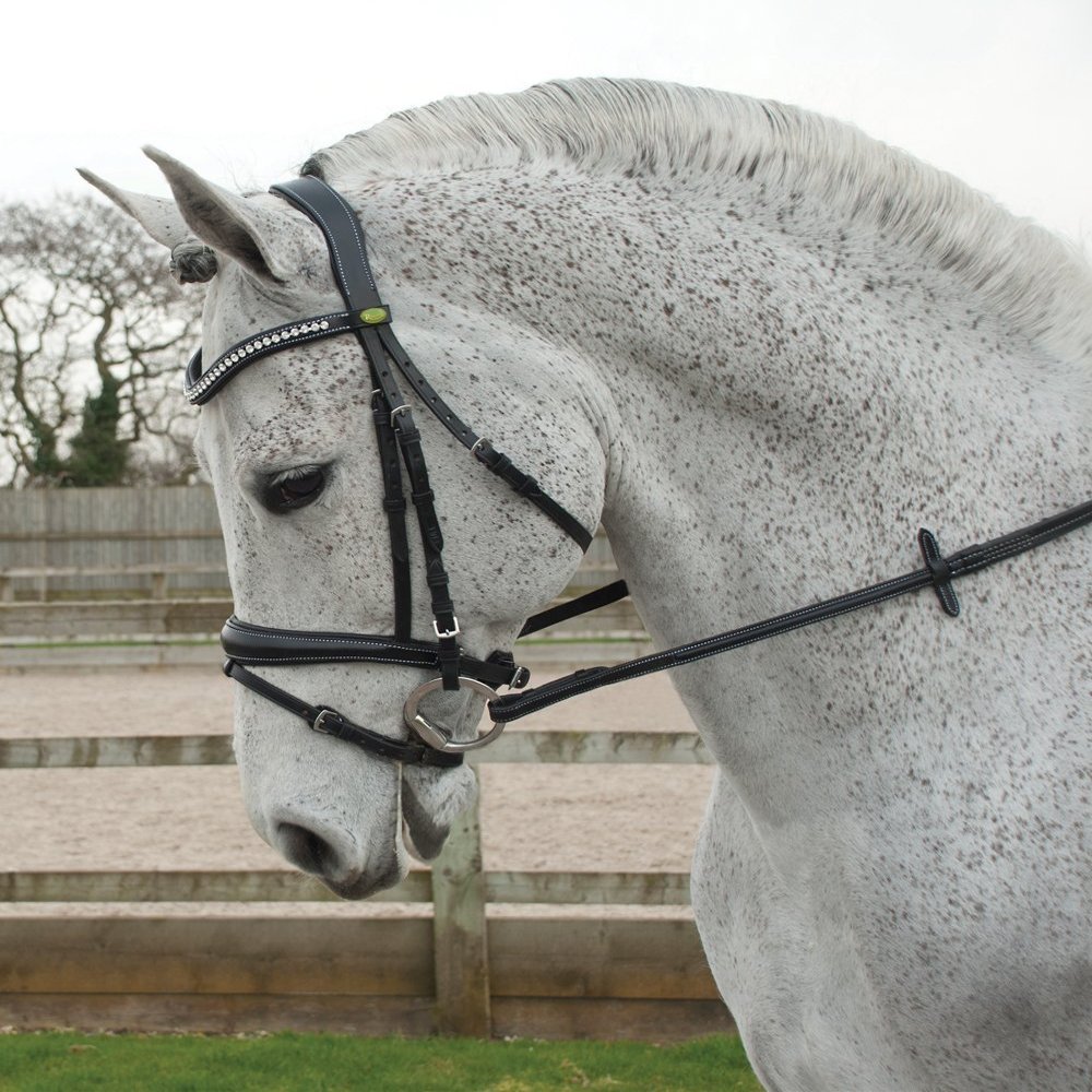 Rhinegold Anatomic Bridle - Pony - Black