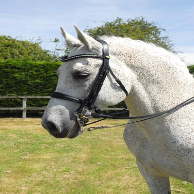 Rhinegold Anatomic Double Bridle - Cob - Black
