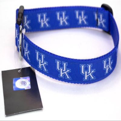 All Star Dogs Blue Kentucky Wildcats Ribbon Dog Collar - Medium